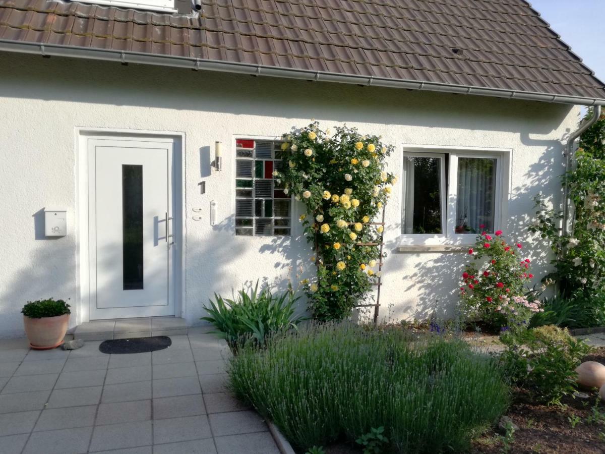 Ferien-Appartement Goldhausen Eksteriør bilde