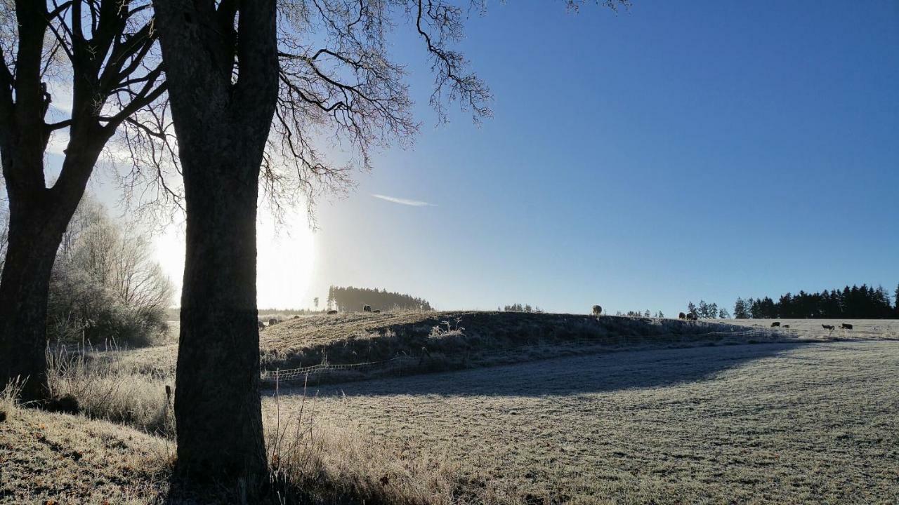 Ferien-Appartement Goldhausen Eksteriør bilde